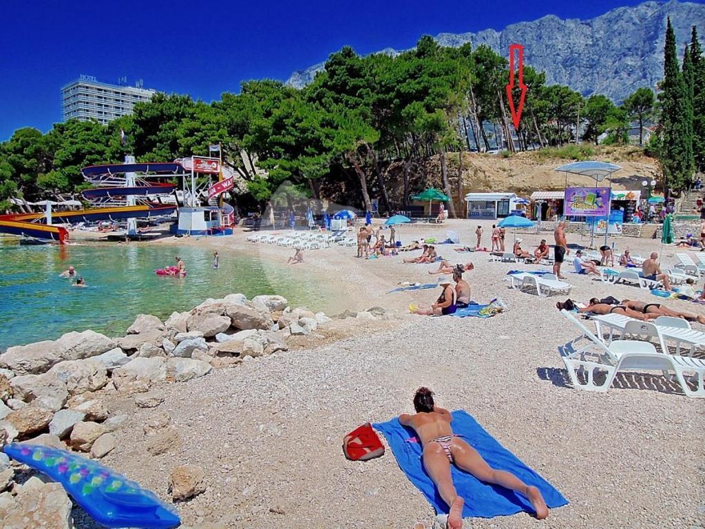 Apartmani Neva Makarska Eksteriør billede